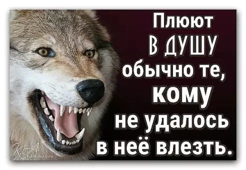 image(19)