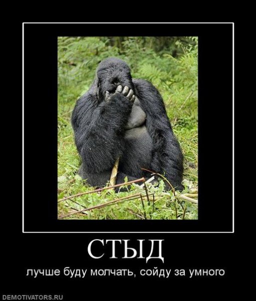 pics