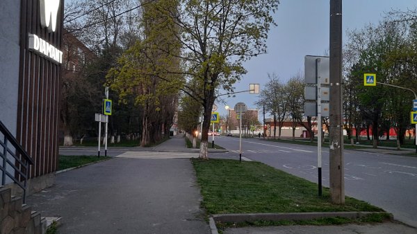picture_317465701