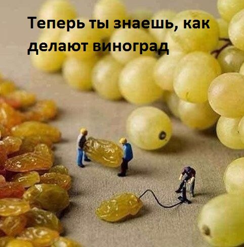 Images 8871