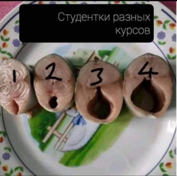 Poshlye-memy-i-chernyj-jumor-18-podborka-185-07