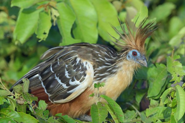 x971 1 c322e40165e0581ed6c78a2a3f1601b0@5000x3333 0xac12