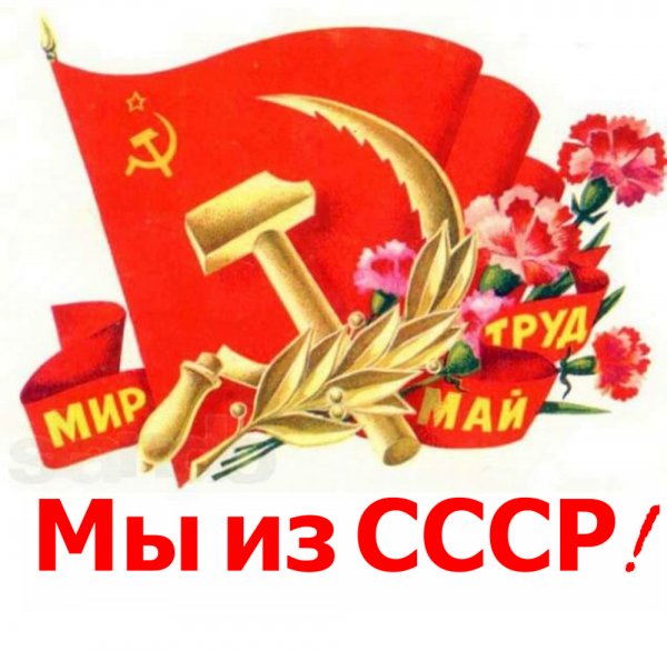 IMG-20190501-WA0025