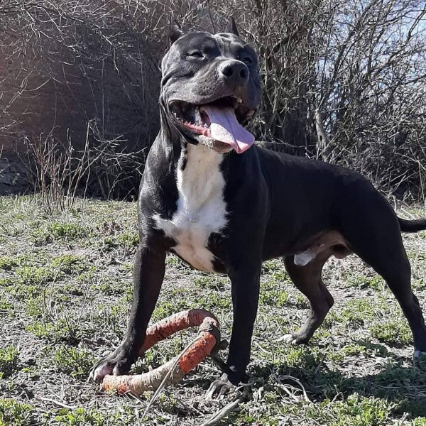 c6c88ddd455c4afbcbd682133a99b06a