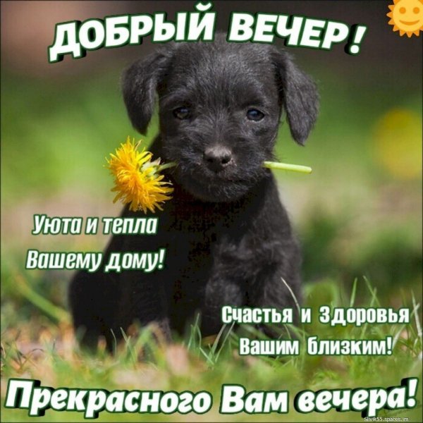 Милота