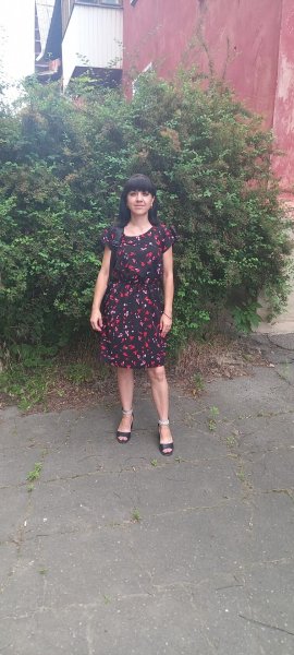 picture_381476795