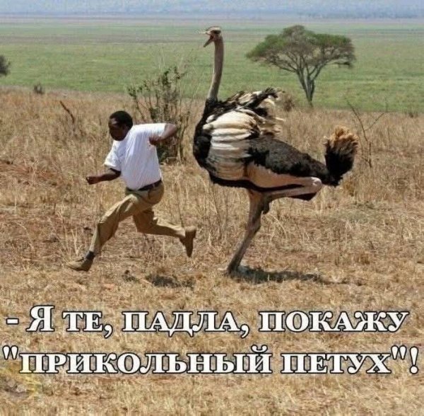 FB IMG 1757190814852