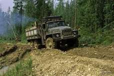 picture_92408121