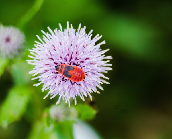 ff4c19e736 IMG 8108 edited