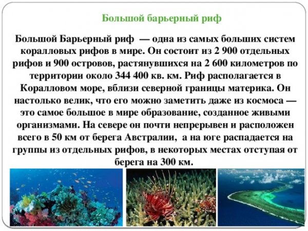 Большой барьерный риф