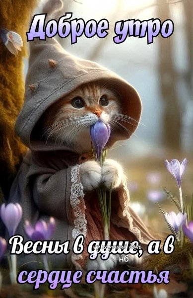 IMG 20260331 094903 164