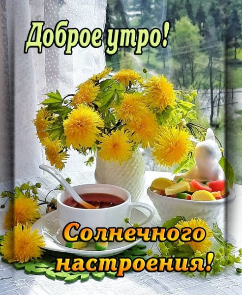 IMG-20210426-WA0003