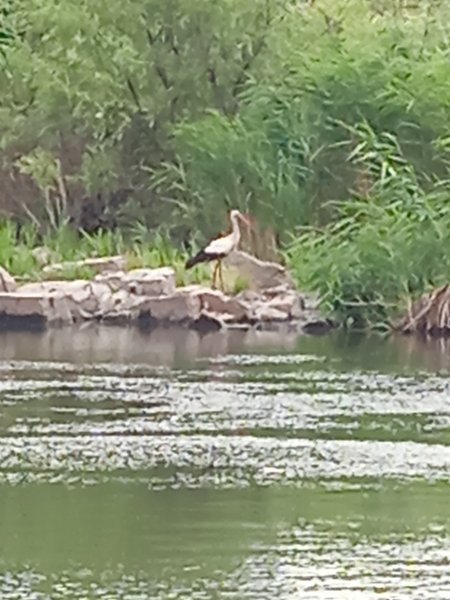 IMG 20250720 123554 1