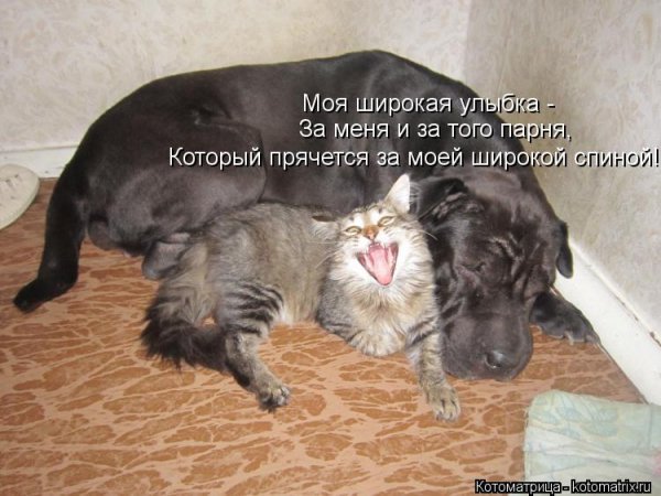Опаньки!