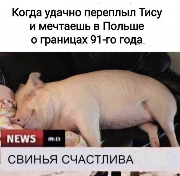 IMG 20250424 133525