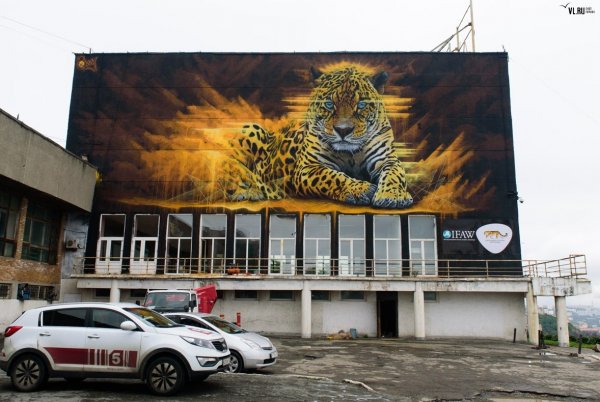 леопард граффити