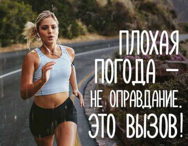8b0bd225a0fc3e19b38d-700x544