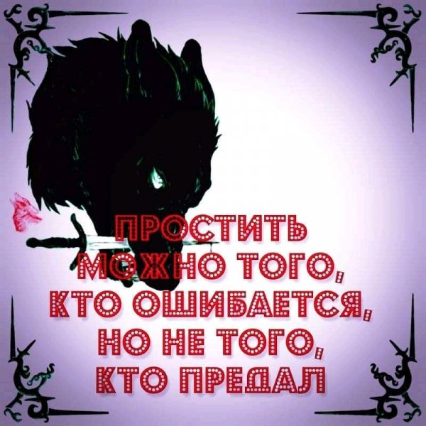 FB IMG 16340515266264168