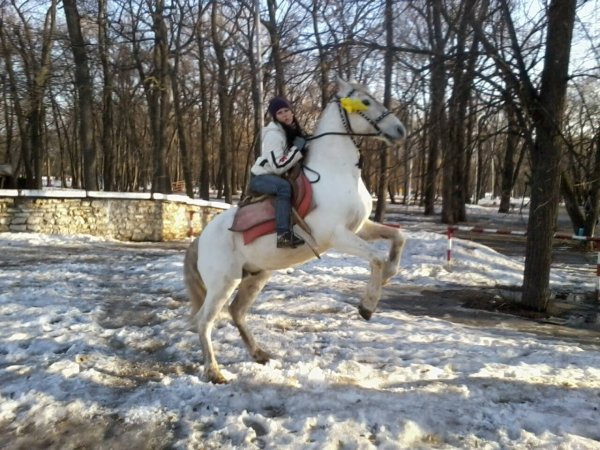 КатюхаиКвадрат