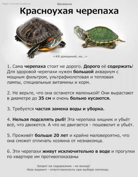 На заметку