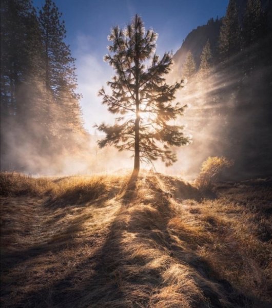 Screenshot 20211114 113417