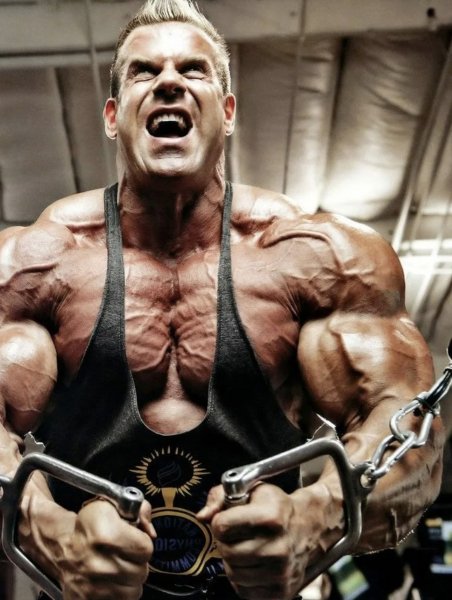 picture_381098097
