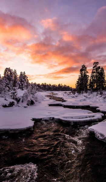 Screenshot 20260203-130650 One UI Home