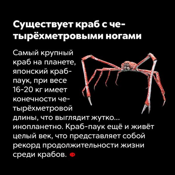 Это интересно