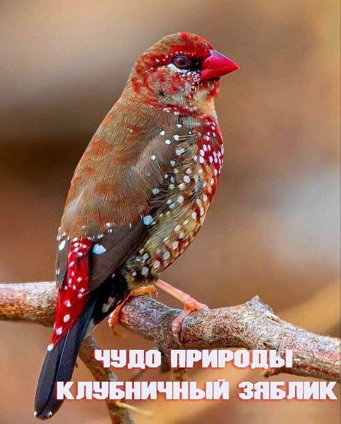 IMG 20210506 102257