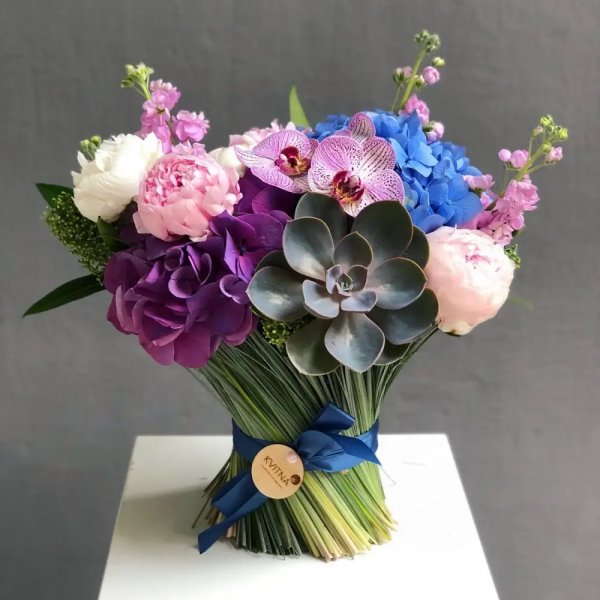 Scdn-com-images-products-1-1436