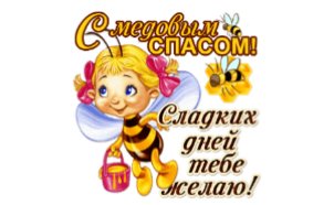 IMG 20210814 162231