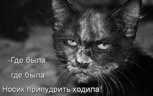 Да! ))