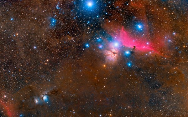 orion-molecular-cloud-zvezdy