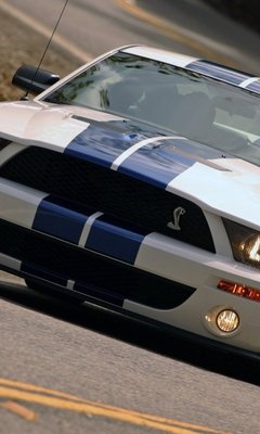 avto-mustang mustang-transport-30829