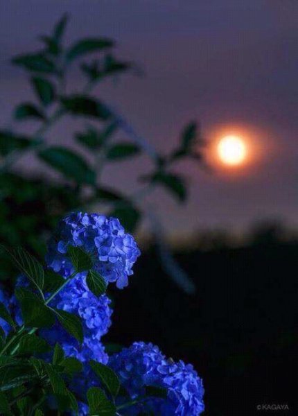 FB IMG 15235214593293948