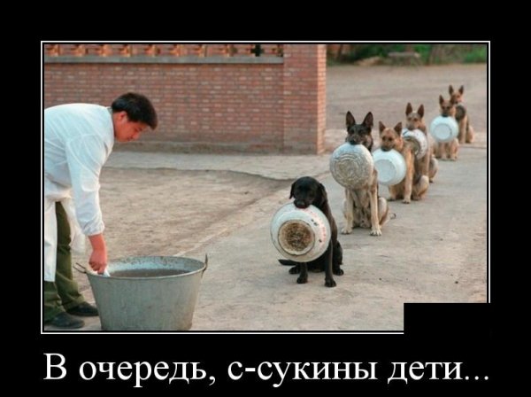 picture_232969647