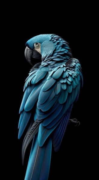 Арт Природа