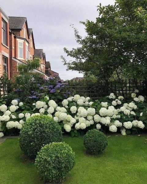 07c1fe2b-cbfa-45e8-bc22-24238b93e04e