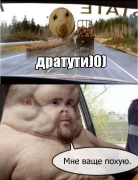 VK Saved Photo 636064570918236505