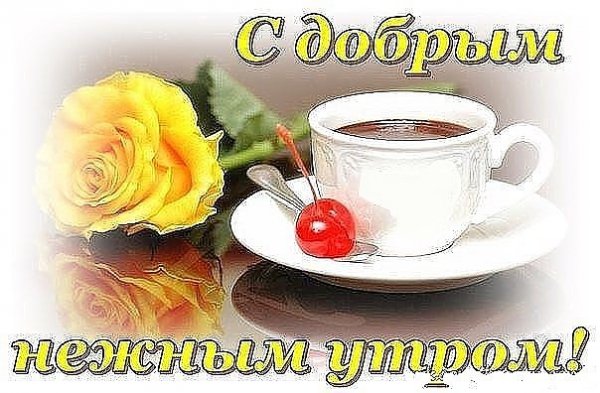 IMG 20161114 082143 110