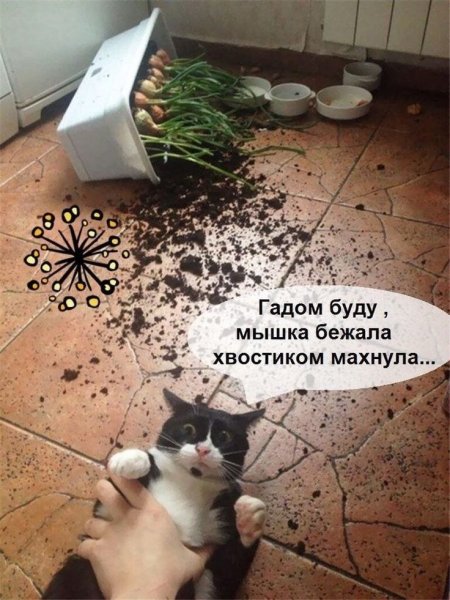 IMG 20260402 113231 973