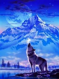 images-4