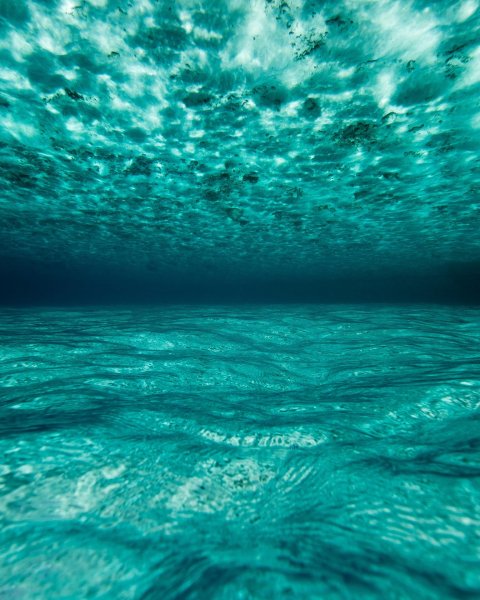 fhdocean344