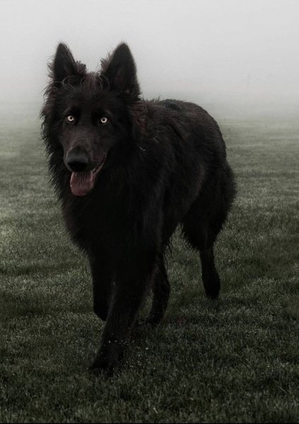 7f3ed9f0db3f72463d5482ba7697aa71