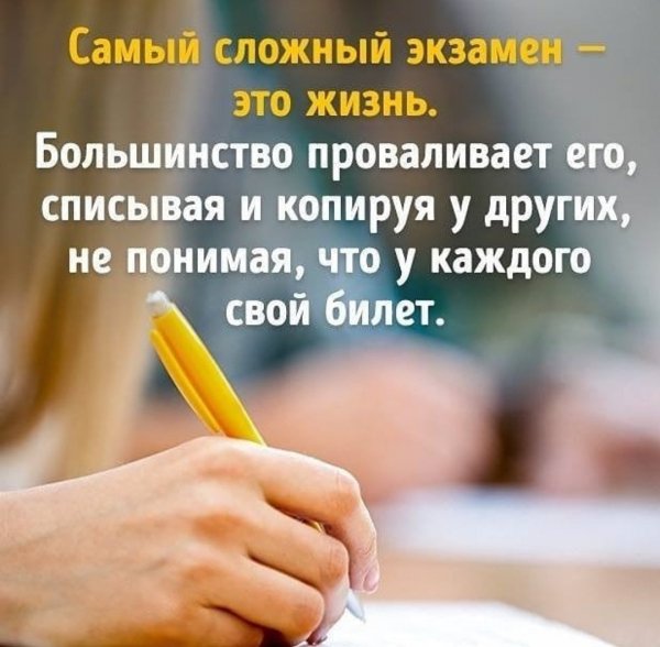 Свой билет