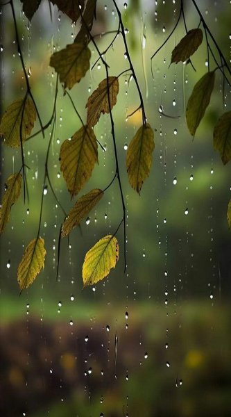 FB IMG 1700563515657