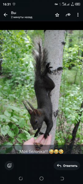 Screenshot 20250815-163152