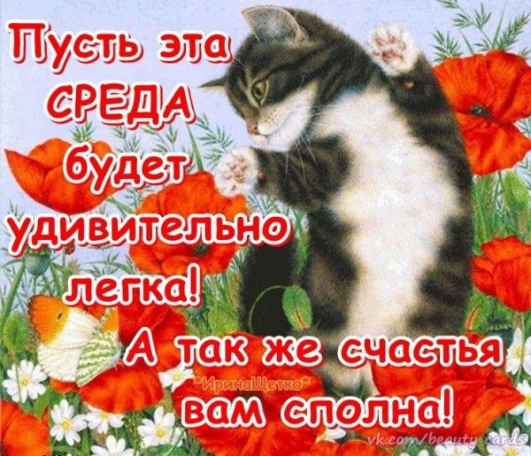 IMG-20180314-WA0000