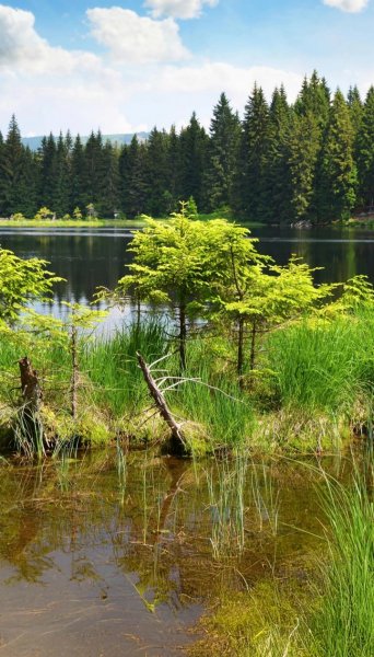 Screenshot 20251220-000629 One UI Home