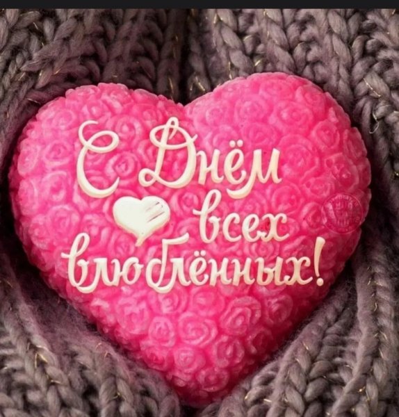 IMG 20260214 112826 624